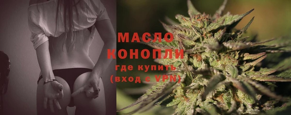 амф Вяземский