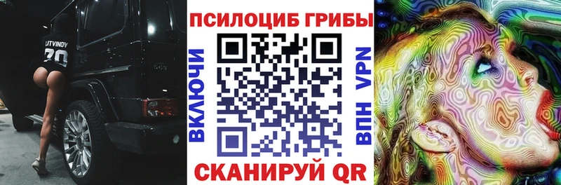 где купить наркоту  Печора  Псилоцибиновые грибы Psilocybe 